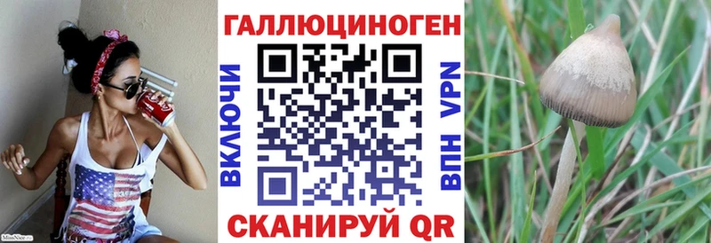 Псилоцибиновые грибы ЛСД Фёдоровский