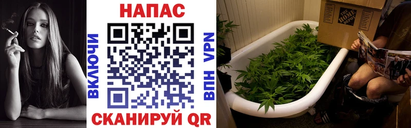 Бошки Шишки марихуана  купить   Фёдоровский 